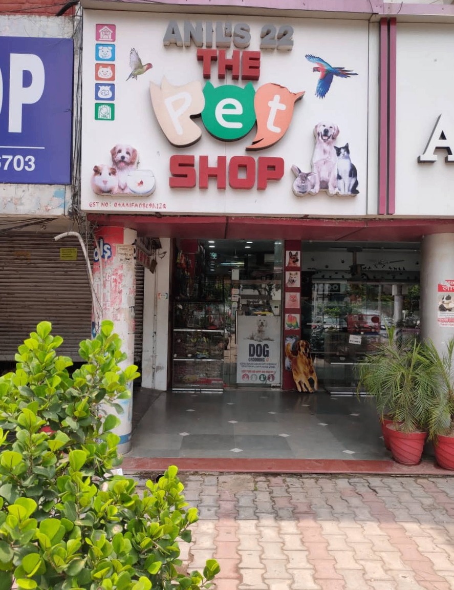 Anil's 22 The Pet Shop